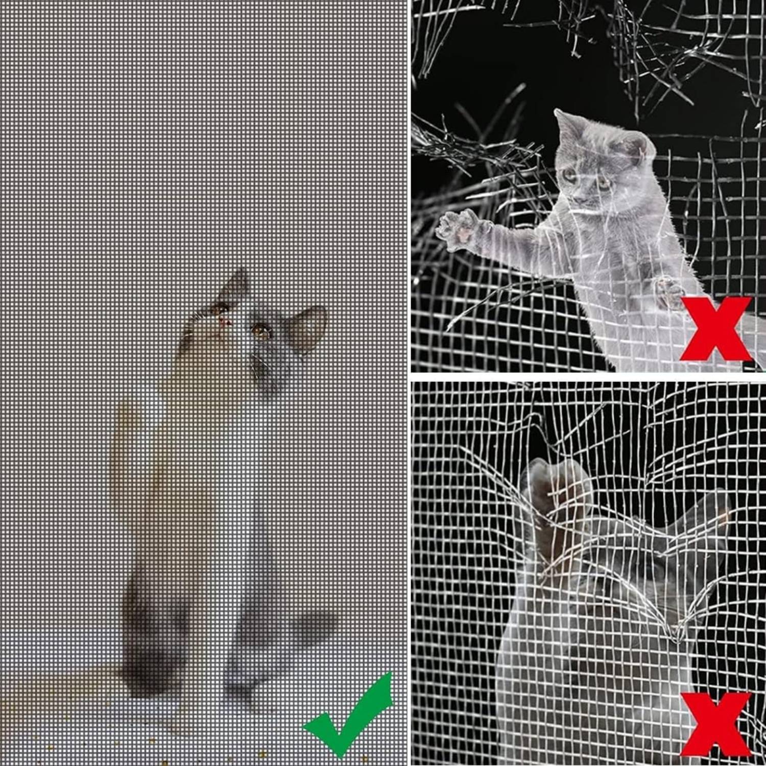 Cat Window Screen - White Edge, 1000mm x 1000mm / 39" x 39": image 4