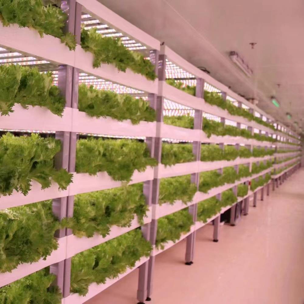 LED Grow Light Strips: image 4